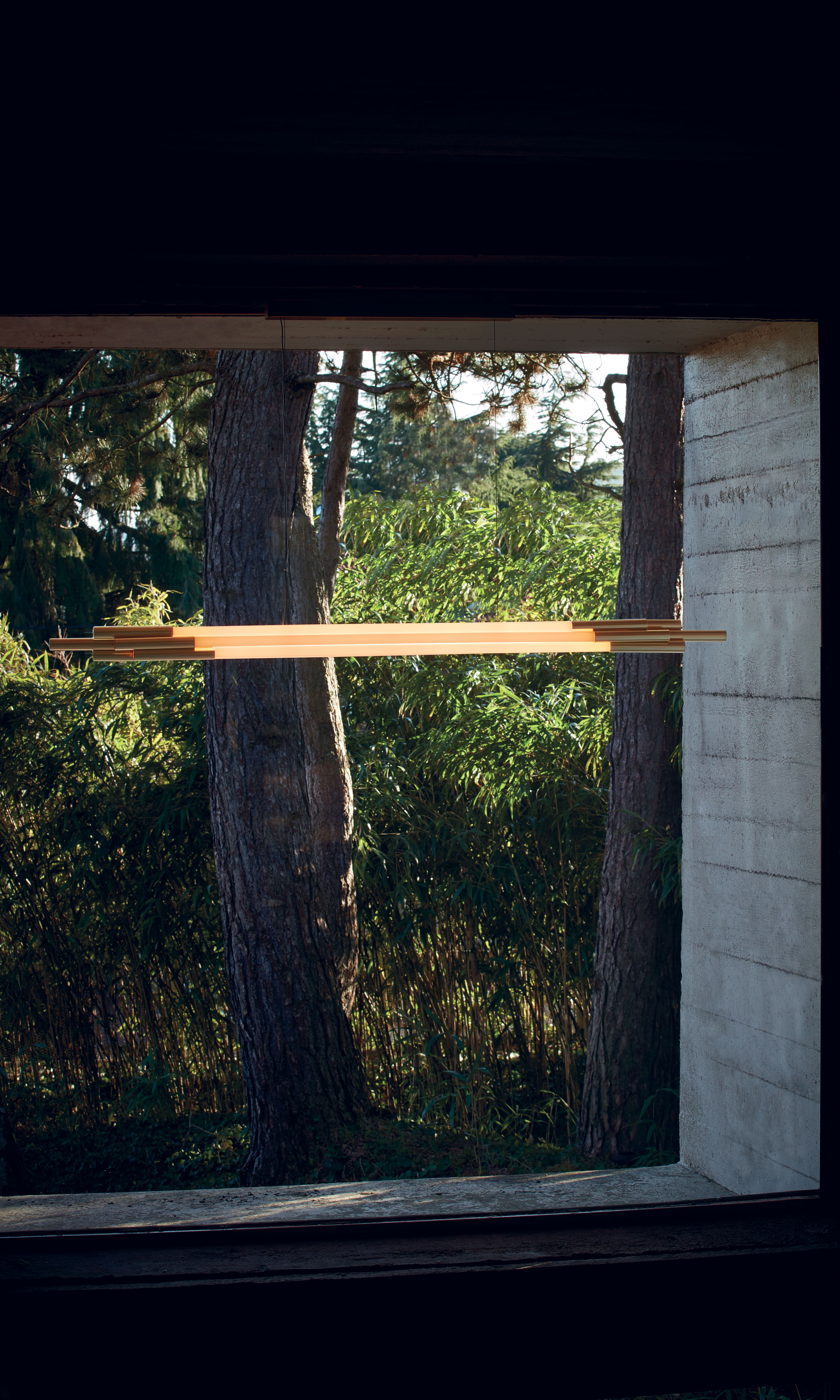 ORG P HORIZONTAL 1600