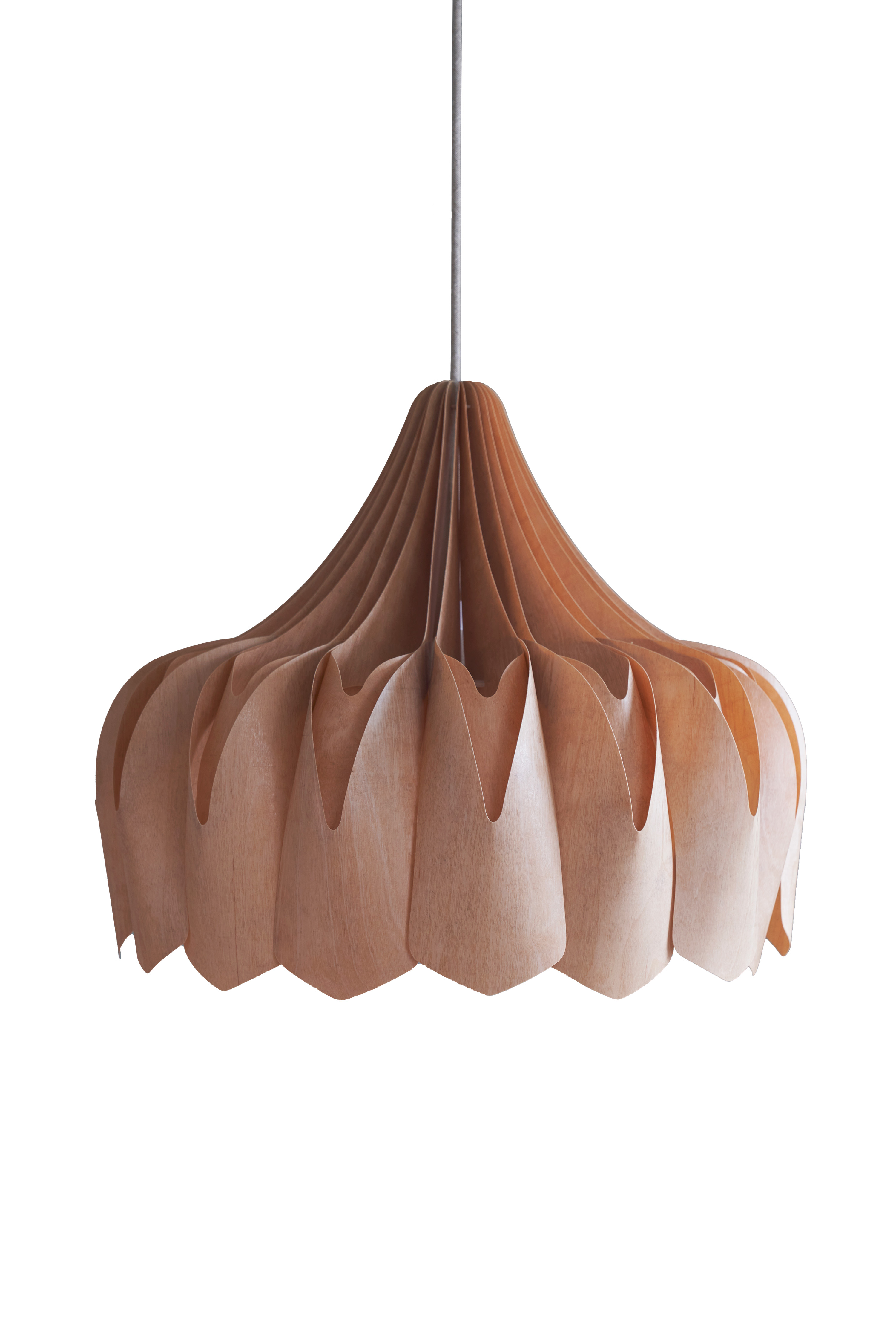 PIONI L PENDANT