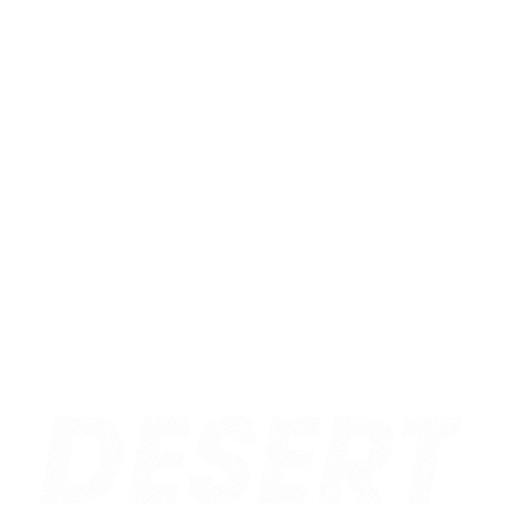 Transport Desert