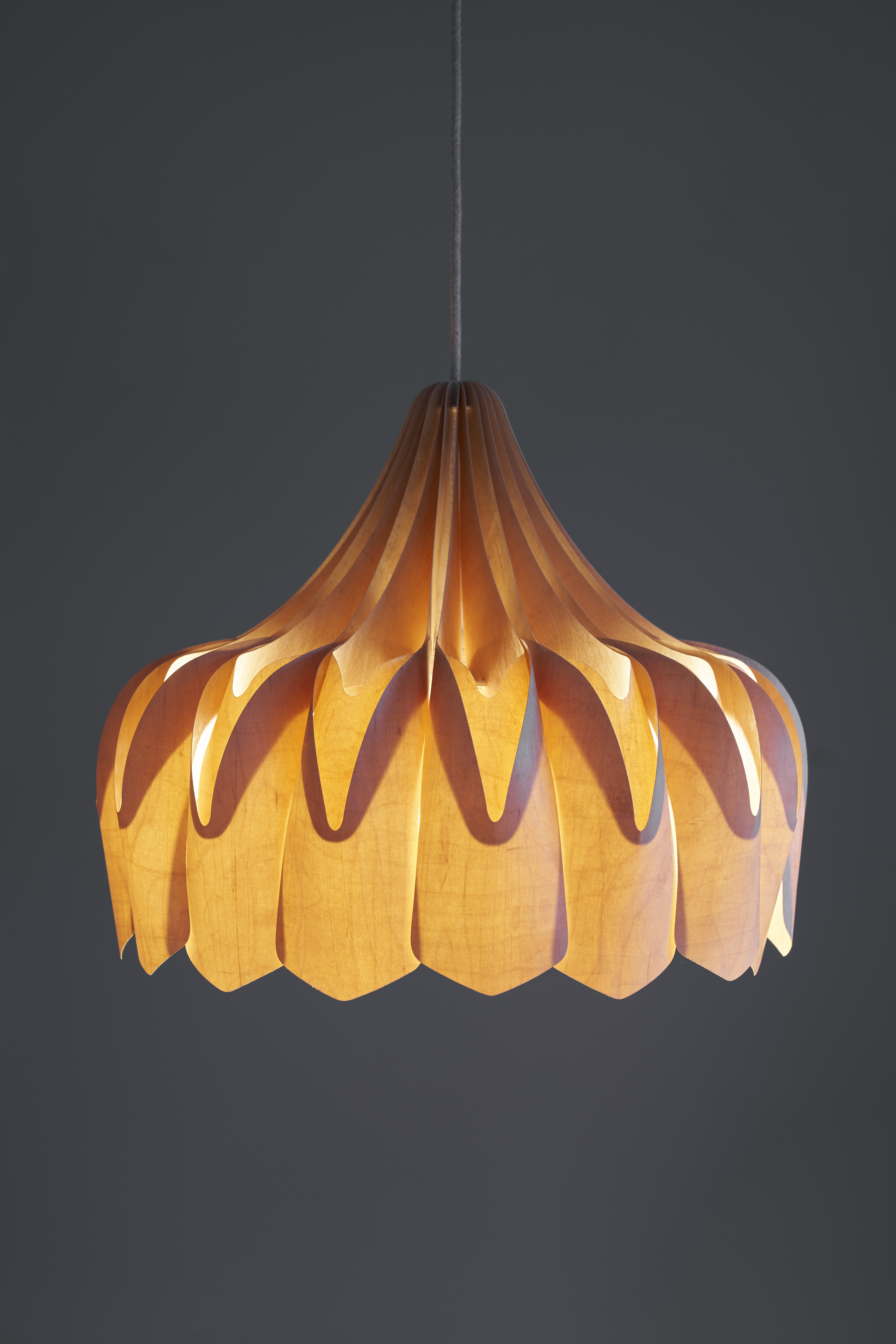 PIONI L PENDANT