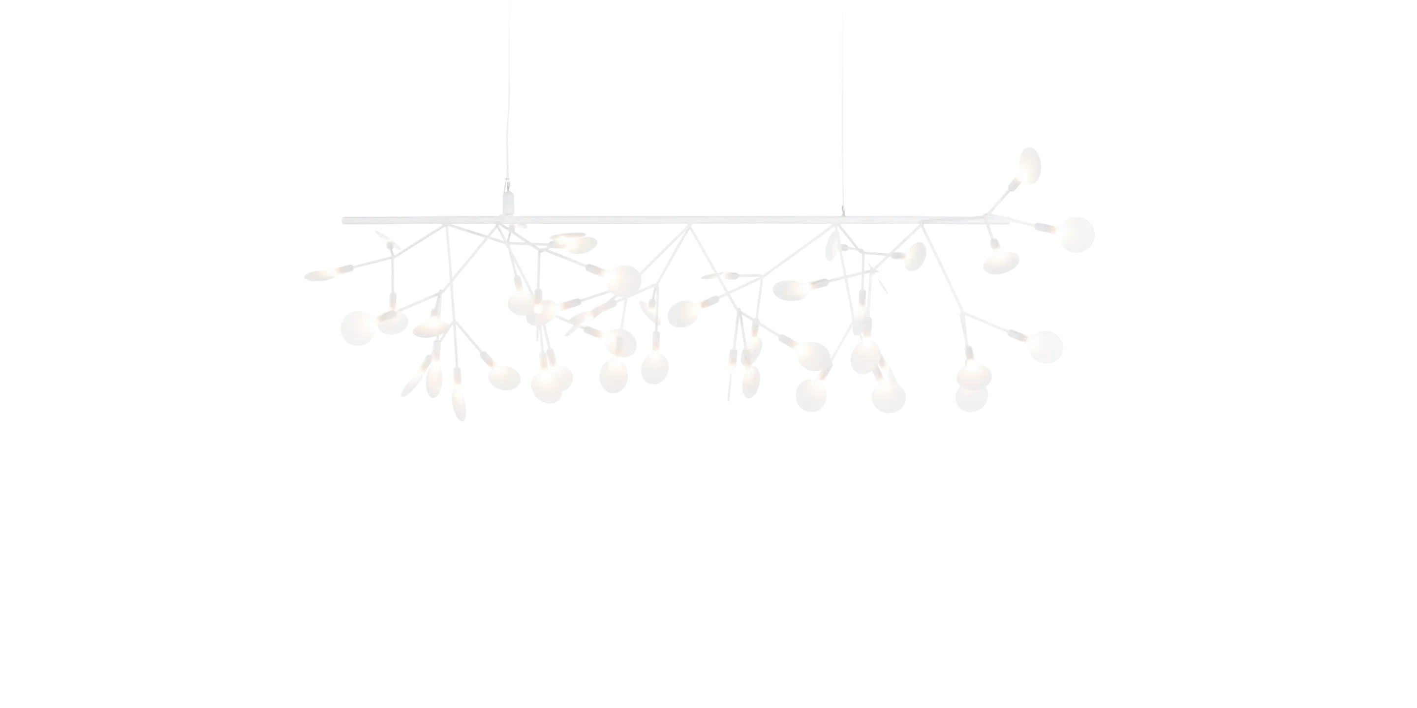 HERACLEUM III ENDLESS