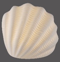 MARISHELL